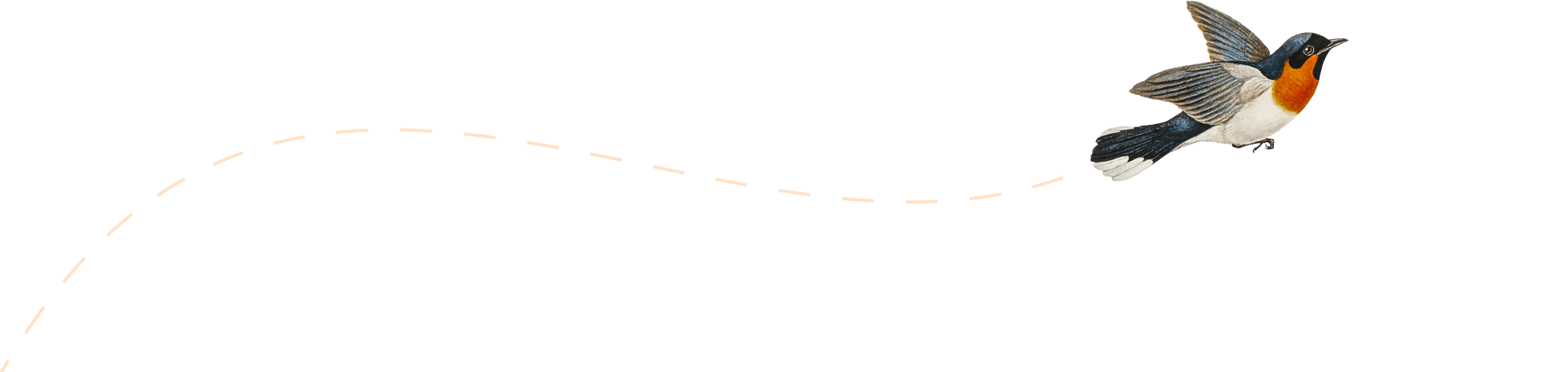Ilustração de um pássaro voando.